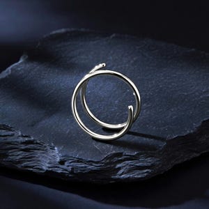 Kirurgiskt stål Dubbel vrid spiral tragusring näsborre huggie sömlös ring piercing smycke tillbehör vardagsbruk silver