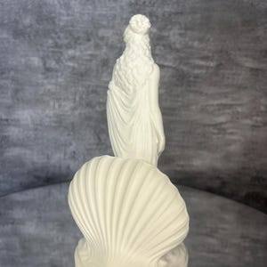 Back view
Back view of Venus goddess figurine displaying detailed hair, flowing fabric, and shell design. Aphrodite inspired mythology sculpture for feminine decor, spiritual altar styling, shelf decoration, romantic mythology art, white PLA statue, aesthetic home accessory, divine feminine symbolism, Greek and Roman mythology decor.