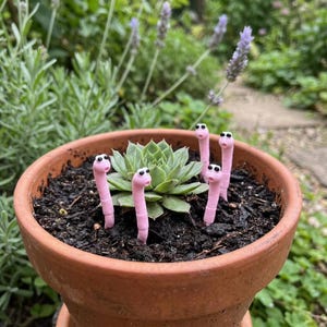 Worm Pot - Etsy Canada