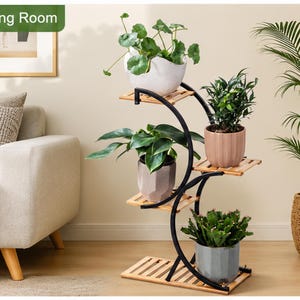 bamboo plant nursery Advanced Nursery Growers: Elevating Expertise in the Horticultural Sector main image 0