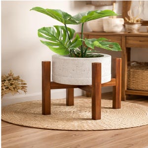May include: A potted Monstera plant with large, green leaves sits in a light gray concrete planter. The planter rests on a dark brown wooden plant stand. The stand is placed on a round, woven jute rug.