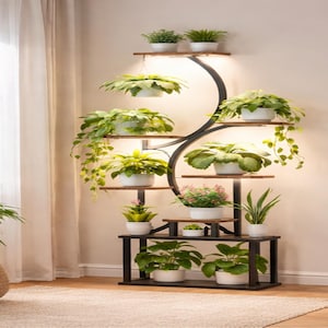 Puede incluir: Un estante para plantas de varios niveles con una estructura de metal negro y estantes de madera. El estante presenta un diseño curvo con iluminación integrada. Varias plantas en macetas, incluyendo helechos y suculentas, se exhiben en los estantes.
