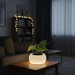 May include: A white, ribbed planter pot with a green plant glows on a wooden side table in a dimly lit room. The pot emits a soft light, illuminating the plant's leaves. A sofa and bookshelf are in the background.