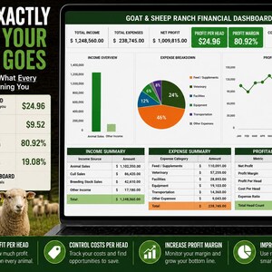 May include: A digital financial dashboard for goat and sheep ranching displayed on a laptop screen. The interface features charts, tables, and metrics including total income, expenses, profit per head, and profit margin, with text overlays.