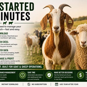 May include: A digital ranch management guide for goats and sheep featuring a brown and white goat and a beige sheep in a field. The text reads GET STARTED IN MINUTES, DOWNLOAD, OPEN EXCEL, ENTER DATA, MANAGE & PROFIT, and SIMPLE. FAST. BUILT FOR OPERATIONS.