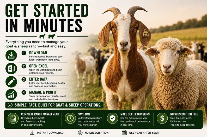 May include: A digital ranch management guide for goats and sheep featuring a brown and white goat and a beige sheep in a field. The text reads GET STARTED IN MINUTES, DOWNLOAD, OPEN EXCEL, ENTER DATA, MANAGE & PROFIT, and SIMPLE. FAST. BUILT FOR OPERATIONS.