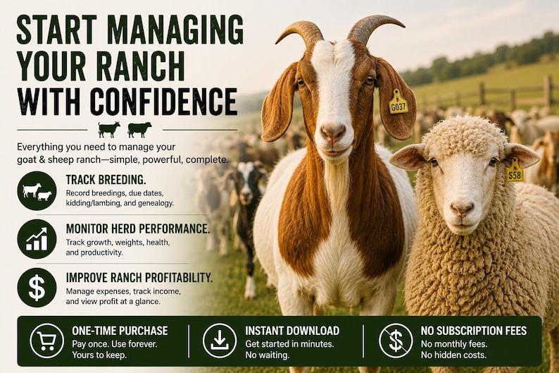 May include: A digital advertisement for ranch management software featuring a brown and white goat and a beige sheep in the foreground. The text reads: START MANAGING YOUR RANCH WITH CONFIDENCE, TRACK BREEDING, MONITOR HERD PERFORMANCE, IMPROVE RANCH PROFITABILITY.