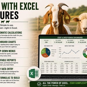 May include: A laptop displaying a Goat & Sheep Ranch Dashboard with financial data, charts, and tables. Beside the screen, text lists Excel features including automatic calculations, dashboard charts, drop-down menus, and printable reports.