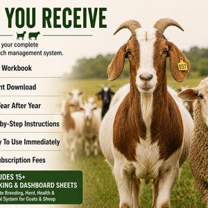 May include: A digital goat and sheep ranch management system featuring a brown and white goat and a cream-colored sheep in a field. Text includes: WHAT YOU RECEIVE, Excel Workbook, Instant Download, Use Year After Year, Step-by-Step Instructions, Ready To Use Immediately, No Subscription Fees, INCLUDES 15+ TRACKING & DASHBOARD SHEETS.