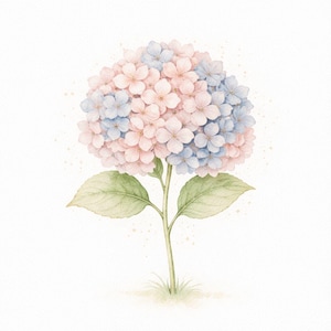 Puede incluir: Ilustraci&oacute;n en acuarela de una flor de hortensia. El cabezal de la flor es una mezcla de flores rosas y azules. El tallo es verde con dos hojas verdes grandes. El fondo es blanco con sutiles motas amarillas.