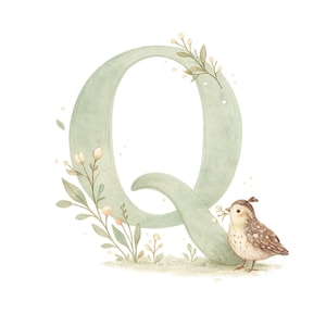 May include: A watercolour illustration of the letter 'Q' in a pale green, decorated with floral elements and a small bird. The bird is brown and white, holding a sprig of flowers. The design has a whimsical, nature-inspired theme.
