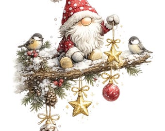 May include: A gnome with a long white beard and a red polka-dot hat sits on a snow-covered branch. Two small birds perch nearby. The gnome holds a gold star ornament, while other gold stars, a red bauble, and a pinecone hang from the branch.