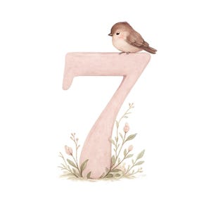 May include: A watercolour illustration featuring a light pink number seven, with a small brown bird perched on top. The number is decorated with green leaves and pink flowers at the base, creating a whimsical, nature-inspired design.