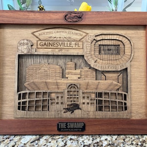 Florida Gators Ben Hill Griffin Stadium Shadow Box | The Swamp | Gainesville, FL