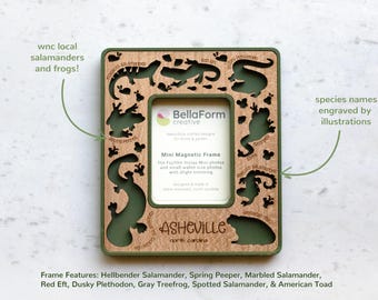 Appalachian Amphibians Magnetic Frame | Herpetology Gift