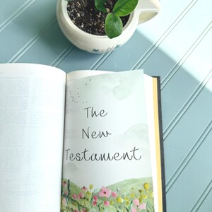 May include: An open book displaying a page titled The New Testament with a watercolor illustration of green hills, pink and yellow flowers, and birds in the sky. A small potted plant with green leaves sits above the book on a light blue surface.