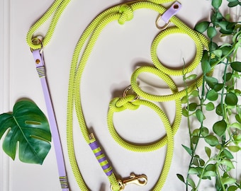 Correa para perros color lima hecha a mano – Cuerda ajustable | Manos libres y multiusos
