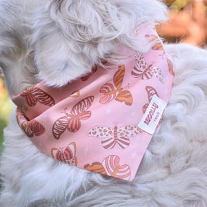 Op de afbeelding: Roze hondenbandana met een herhalend vlinderpatroon in bruin- en oranjetinten. De bandana zit om de nek van een witte hond. Een klein wit label leest "woofly tails".