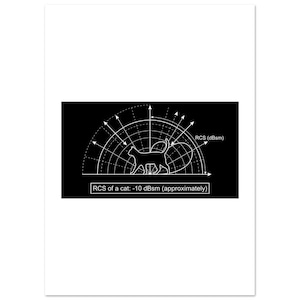 May include: A black and white diagram featuring a cat silhouette with radiating lines and text. The text reads "RCS of a cat: -10 dBsm (approximately)" and "RCS (dBsm)". The image is on a white background.