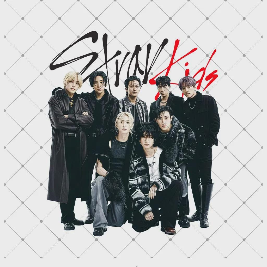 Straykids World Tour - Etsy