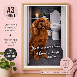 May include: A framed A3 print showing a Cavalier King Charles Spaniel in a bathroom. The dog has brown fur and a smiling face. The print includes the text: "You'll never pee alone... A Cavie is always watching."