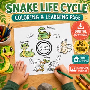 Pagina di attività sulle fasi di vita dei rettili, materiale didattico stampabile di scienze per la scuola materna, scheda di studio della natura.