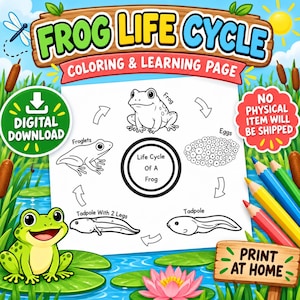 Life Cycle of a Frog Printable | Kids Science Worksheet & Coloring Page | Preschool  Kindergarten Homeschool Activity PDF