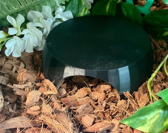 Circular reptile hide