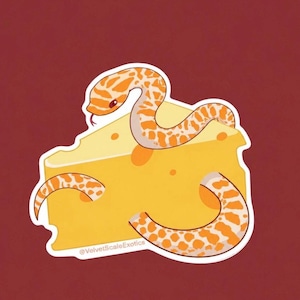 May include: A sticker depicting a cartoon snake with orange and white patterns, wrapped around a wedge of yellow cheese with orange holes. The sticker has a white border and the text "@VelvetScaleExotics" is at the bottom.
