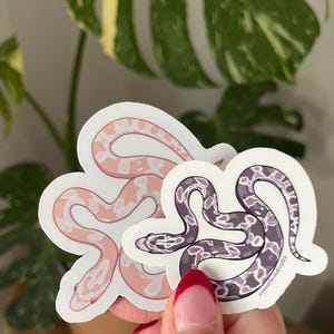 May include: Two die-cut vinyl stickers featuring snake illustrations. One sticker displays a pale pink and white patterned snake, while the smaller sticker shows a dark purple and white patterned snake with the text VelvetScaleExotics printed on it.