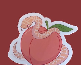 Hognose snake around peach vinyl sticker, waterproof, dishwasher safe, die cut