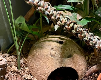 Natural Coconut Hide & Climbing Rope Set For Reptiles – Gecko Tank Decor, Jungle Vine Enrichment