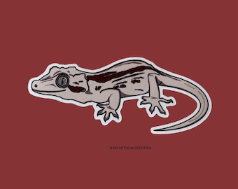 Gargoyle gecko sticker, reptile vinyl sticker, waterproof dishwasher, safe matte die cut