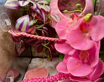 Pink Reptile Accessory Bundle, Heart Shaped Food Bowl & 2 Paracord climbing ropes