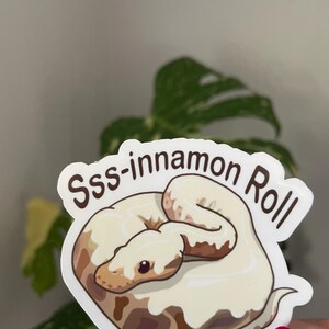 K&ouml;nnte beinhalten: Ein gestanzter Aufkleber mit einer braun-cremefarbenen Schlange, die sich wie eine Zimtschnecke aufgerollt hat und mit wei&szlig;em Zuckerguss bedeckt ist. Der Text "Sss-innamon Roll" steht in Braun dar&uuml;ber, "@VelvetScaleExotics" steht darunter.