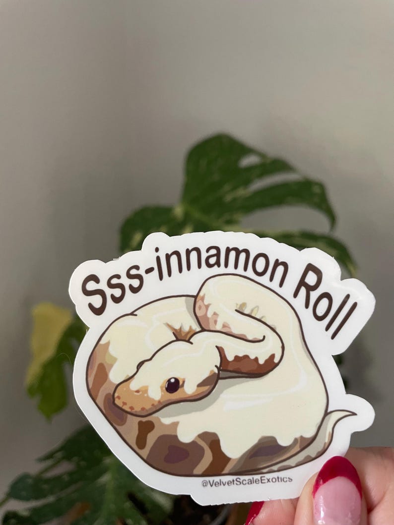 K&ouml;nnte beinhalten: Ein gestanzter Aufkleber mit einer braun-cremefarbenen Schlange, die sich wie eine Zimtschnecke aufgerollt hat und mit wei&szlig;em Zuckerguss bedeckt ist. Der Text "Sss-innamon Roll" steht in Braun dar&uuml;ber, "@VelvetScaleExotics" steht darunter.