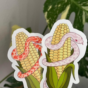 May include: Two die-cut vinyl stickers featuring illustrations of corn cobs wrapped in snakes. One sticker shows a red and orange patterned snake, the other a pale pink snake. Both include the text @Velvetscalesexotics at the bottom edge.