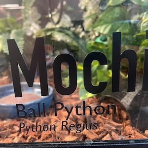 Namensschild aus Vinyl für Reptilien