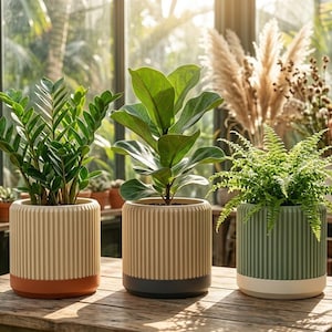 Op de afbeelding: Drie potplanten op een houten tafel. De planten staan in decoratieve, geribbelde potten met verschillende kleuren bodems. De planten omvatten een ZZ-plant, een vioolbladplant en een varen. De achtergrond is een kas met zonlicht.
