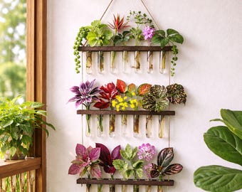 Estación de propagación de plantas de 3 niveles para colgar en la pared con tubos de ensayo / Soporte de madera para plantas de interior, decoración del hogar, kit de propagación de plantas para amantes de las plantas.