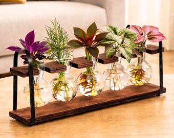 Estación de propagación de plantas de madera con jarrón de cristal, regalo para plantas de interior, amantes de las plantas / decoración del hogar