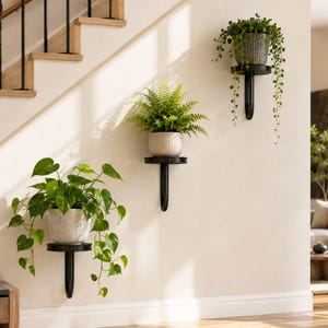 May include: Three black metal wall-mounted plant shelves, each holding a different potted plant. The plants include a fern, a trailing vine, and a leafy green plant. The shelves are mounted on a cream-colored wall near a staircase.