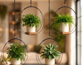 Colgador de plantas / Macetas colgantes estilo boho para plantas de interior, decoración de ventanas, soporte moderno para plantas para la decoración del hogar