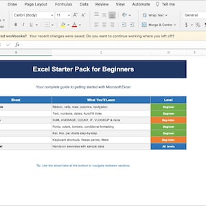 May include: A screenshot of an Excel tutorial titled "Excel Starter Pack for Beginners." The guide includes a table detailing topics like data entry, formulas, and charts, with corresponding skill levels. The background is white with a blue header.