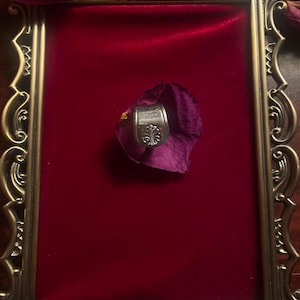 May include: A silver ring with a decorative floral design, set on a deep red velvet surface within a vintage-style gold frame. The ring rests on a dark purple rose petal, with additional petals scattered around.