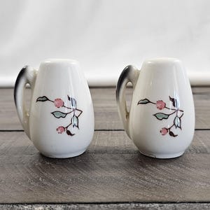 Vintage Brock of California Wildflower Salt and Pepper Pitcher Set