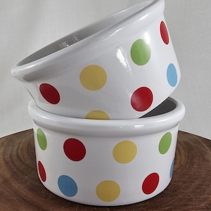 Vintage Multicolored Polka Dot Ceramic Bowls - Set of 2