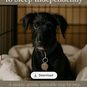 Puppy Sleep Training Guide | Gentle Independent Sleep Routine | Printable Puppy Schedule | Crate Training Help