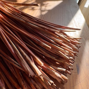 May include: A bundle of dried, reddish-brown plant stems, possibly for crafting or decorative purposes. The stems are long, thin, and have a natural, organic appearance. The image is lit by sunlight, highlighting the texture and color variations.