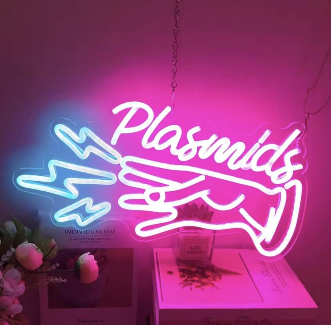 Custom Name LED Neon Light for Bedroom Wall Décor, Personalized Neon ...